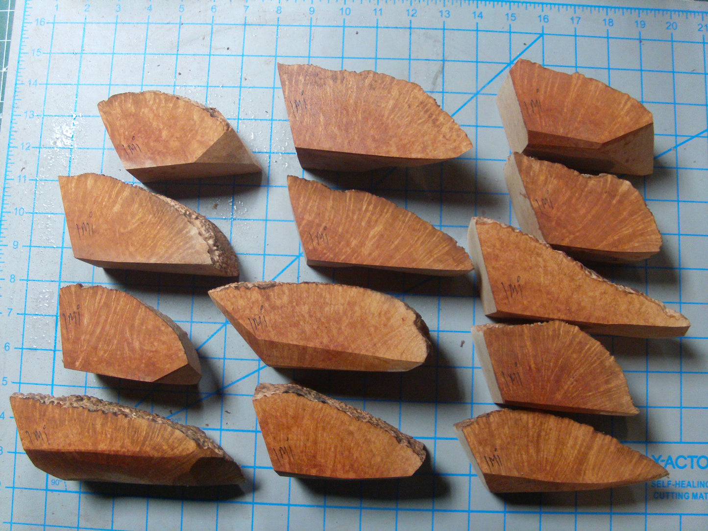 13 Algerian Briar Blocks Grade 1 Size Mini lot 1