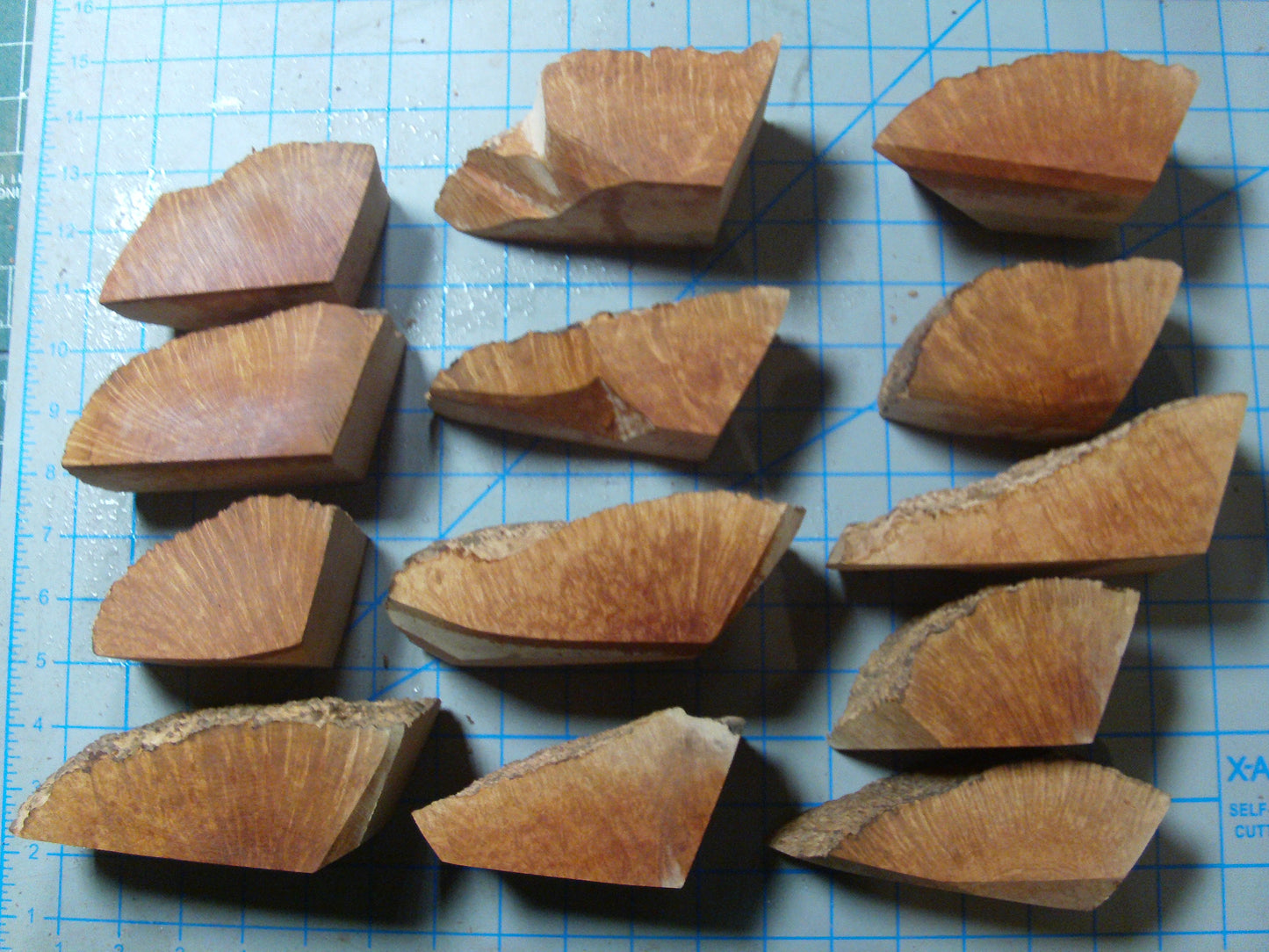 13 Algerian Briar Blocks Grade 1 Size Mini lot 1