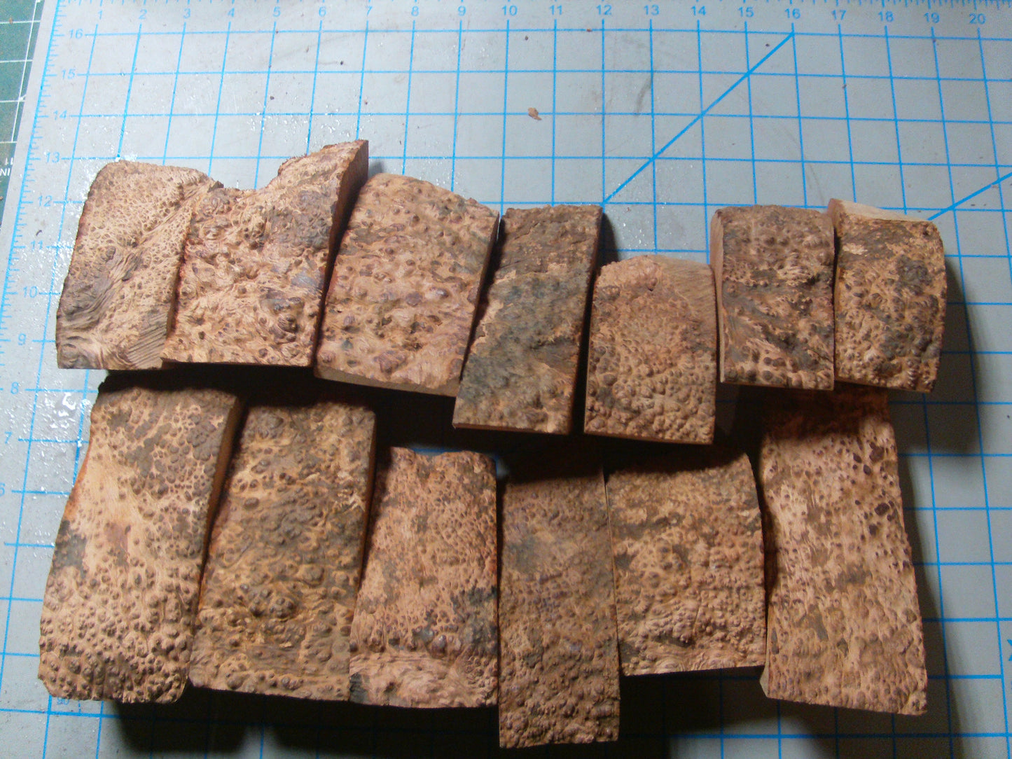 13 Algerian Briar Blocks Grade 1 Size Mini lot 1