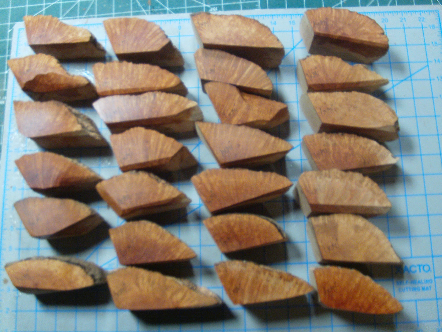 27 Algerian Briar Blocks Grade 1 X-Mini Lot 5