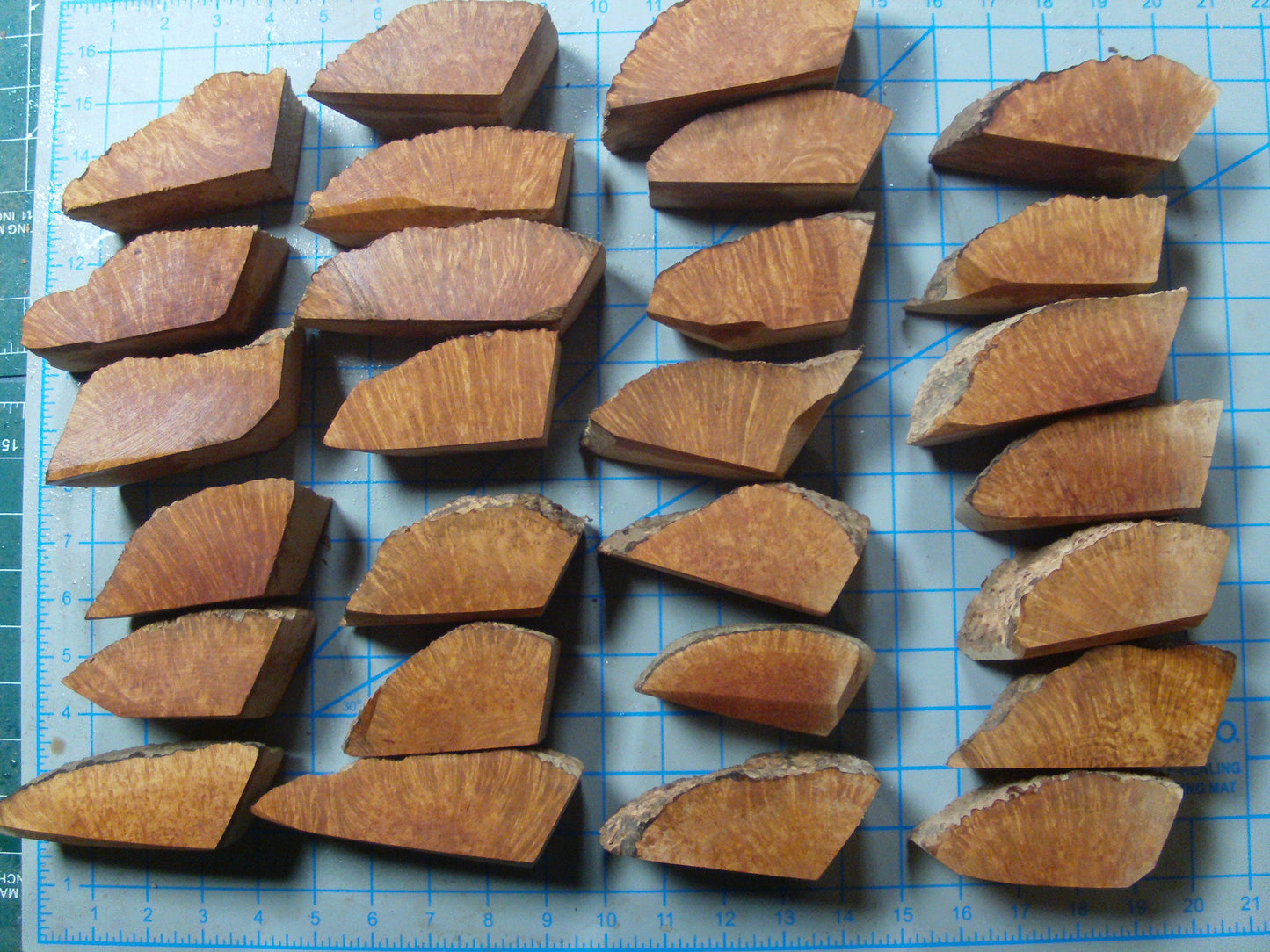 27 Algerian Briar Blocks Grade 1 X-Mini Lot 5
