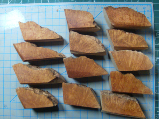 13 Algerian Briar Blocks Grade 3 Small Lot 6