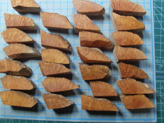 27 Algerian Briar Blocks Grade 1 X-Mini Lot 5