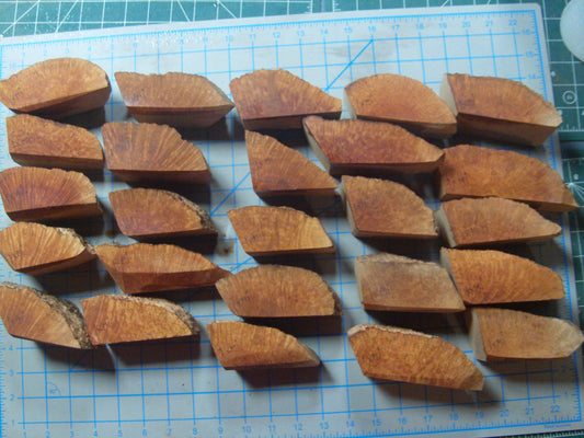 25 Grade 1 X-Mini  Algerian Briar Blocks Lot 2